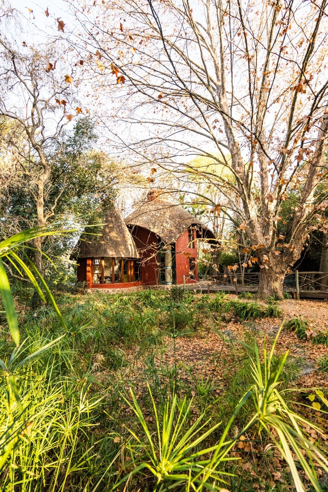 Hakunamatata Lodge and Health Spa