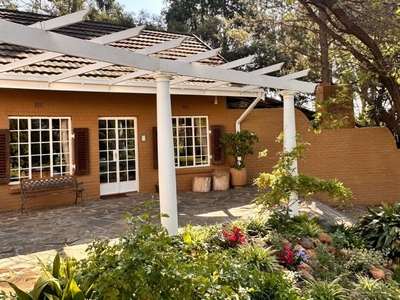 Standard Cottage Saffron