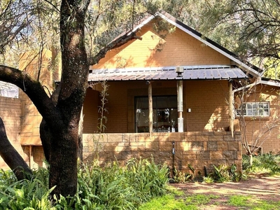 Standard Cottage Saffron