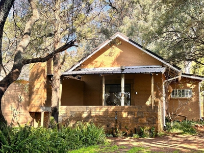 Standard Cottage Saffron