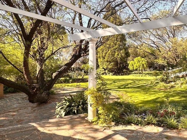 Standard Cottage Saffron