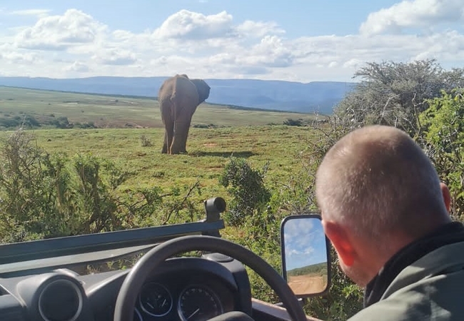 Addo Park game-viewing
