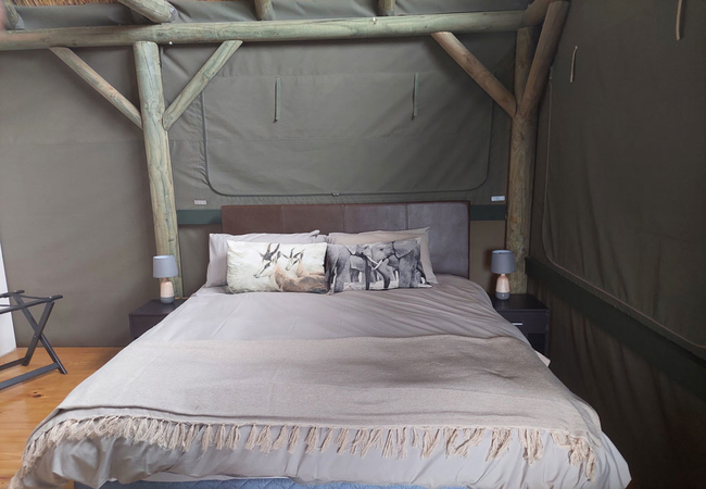 Luxury Tent Room 4
