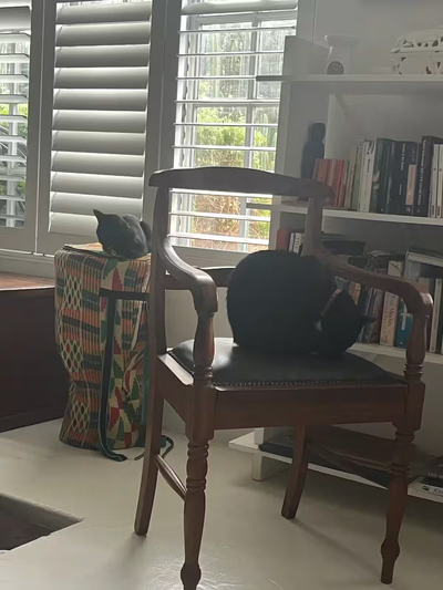 Exclusive Use Holiday Home