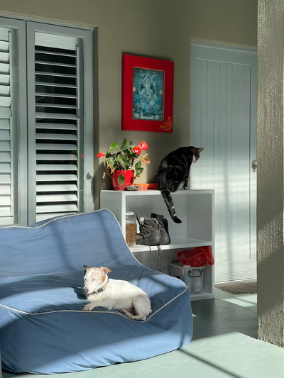 Exclusive Use Holiday Home