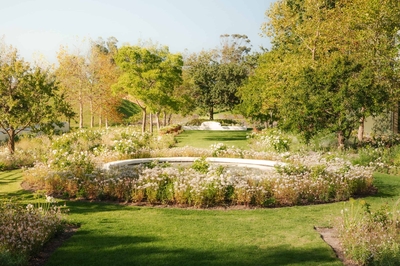 Hazendal Wine Estate | Corporate and Private Events