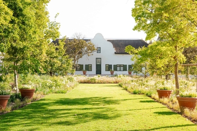 Hazendal Wine Estate | Corporate and Private Events