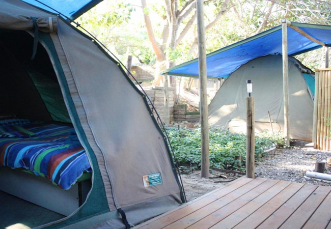 Luxury Bush Dome Tents