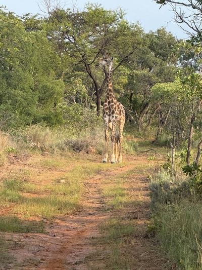 Hemel Bushveld Lodge