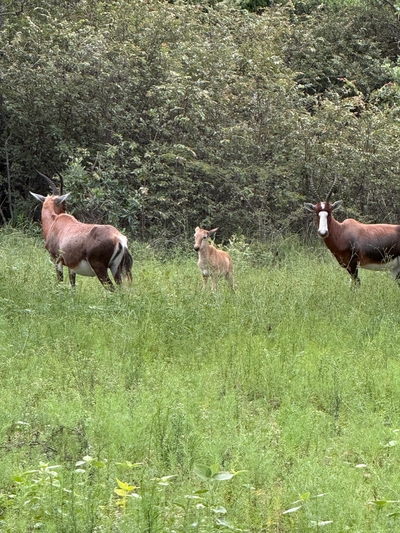 Hemel Bushveld Lodge