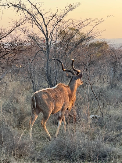 Hemel Bushveld Lodge