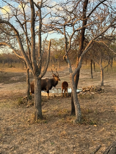 Hemel Bushveld Lodge