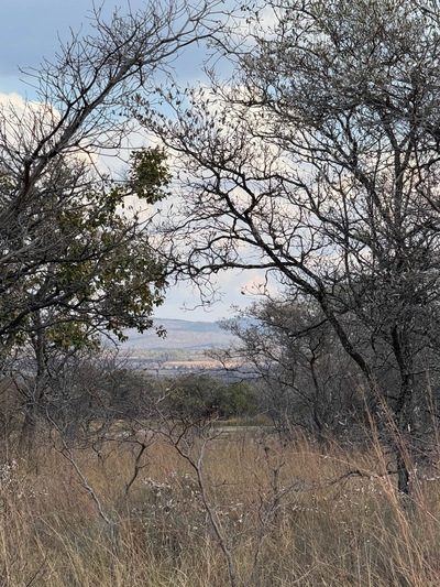 Hemel Bushveld Lodge