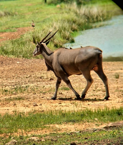 Hemel Bushveld Lodge