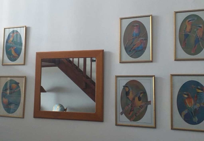 Hibbers On The Beach One