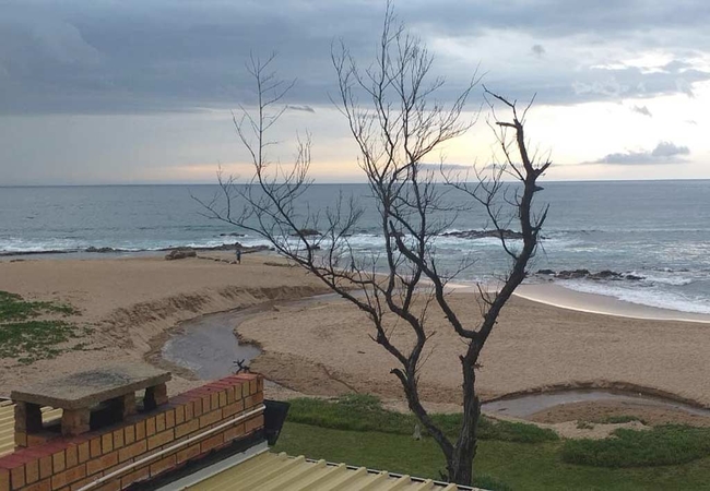 Hibbers On The Beach One