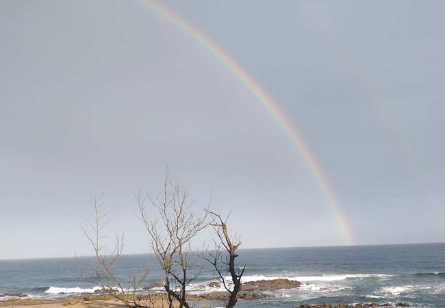 Hibbers On The Beach One