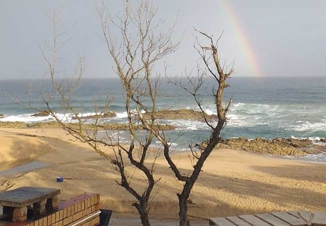 Hibbers On The Beach One