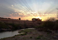 Guinea Fowl Cottage