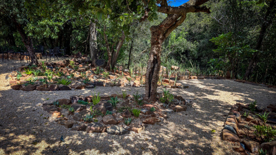 Idwala Le Ingwe Hiker's Haven