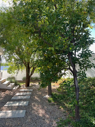 Exclusive Use Holiday Home