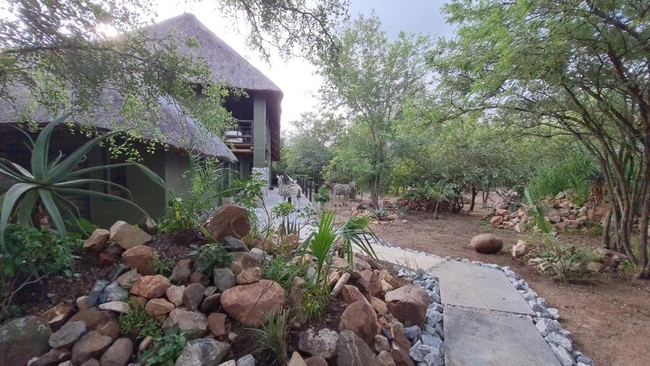 Honey Badger Safari House