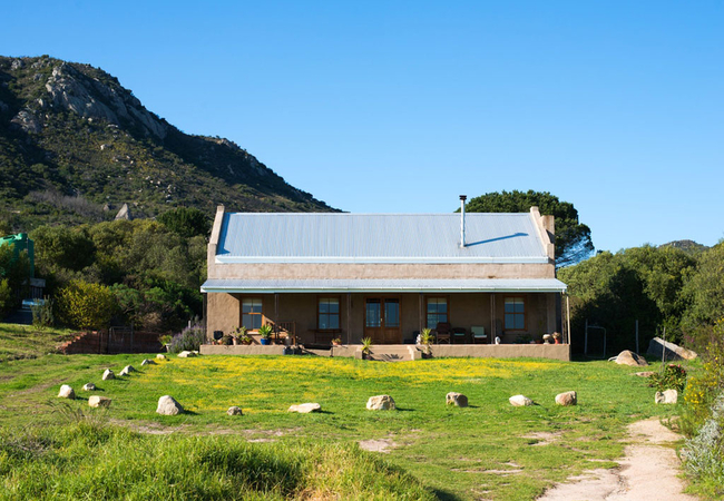 Honey Badger @ Fynbos Estate