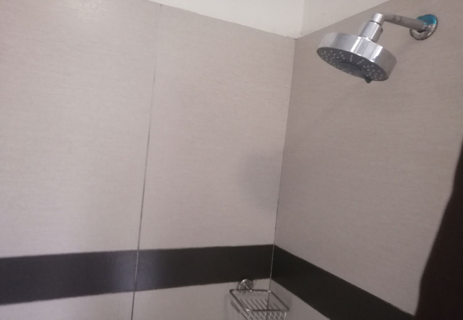 Standard and Standard Plus