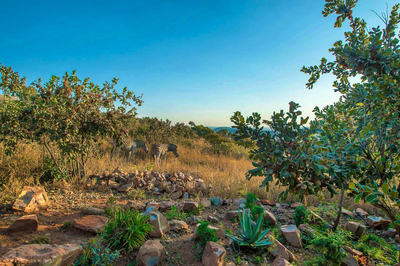 Exclusive Use Holiday Home