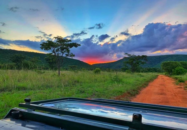 Sunset Game Drive