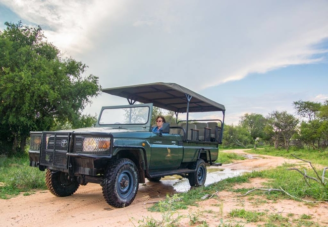 Game Viewing Vehicle