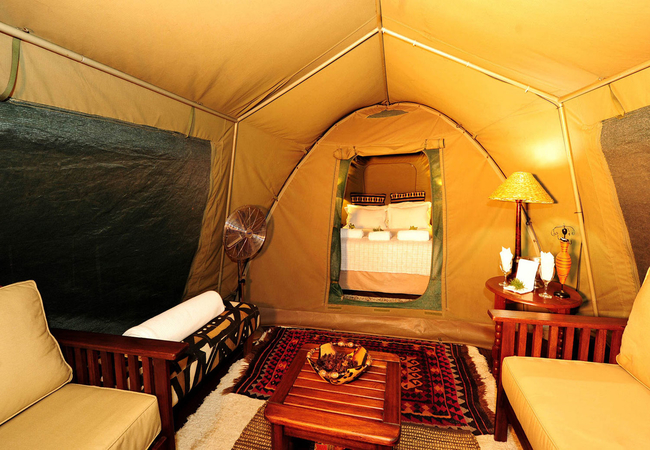 Safari Tent