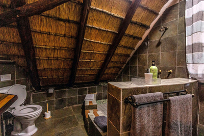 Ingwe Cabin
