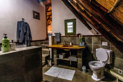 Ingwe Cabin