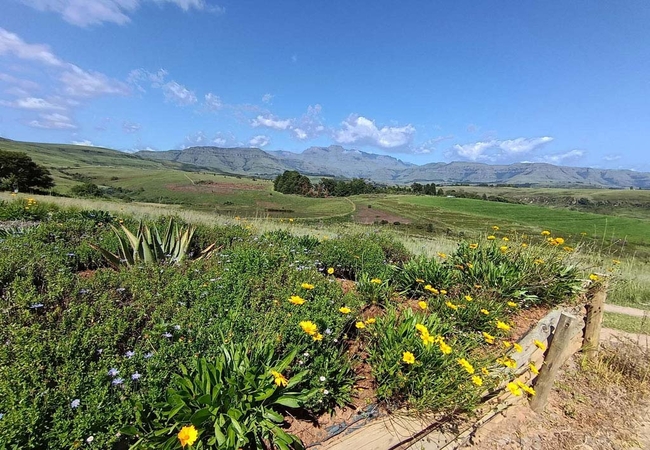 Inkungu Homestead