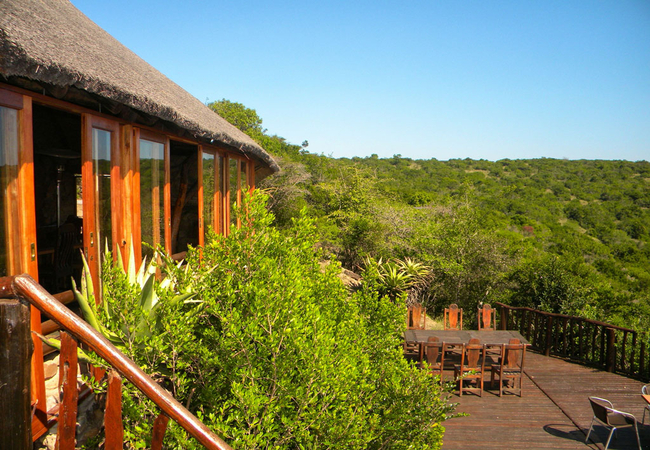 Inkwenkwezi Private Game Reserve