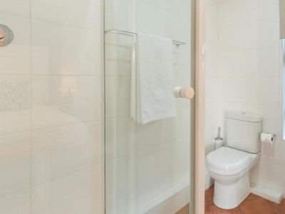 Premium Suite - Fish Eagle