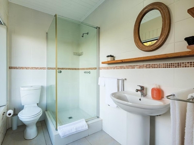 Comfort Suite - Kingfisher