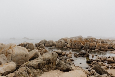 Into the Mystic