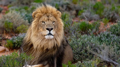Inverdoorn Private Game Reserve