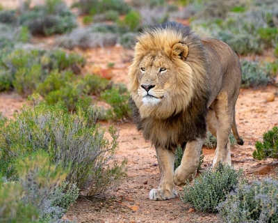Inverdoorn Private Game Reserve