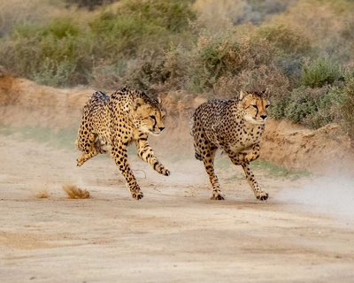 Inverdoorn Private Game Reserve