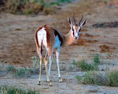 Inverdoorn Private Game Reserve