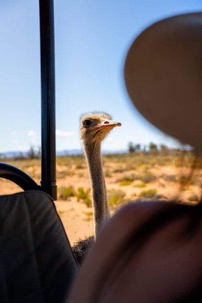 Inverdoorn Private Game Reserve