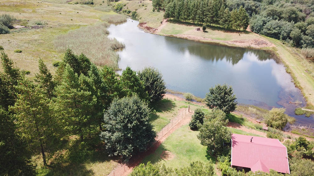  Invicta @ Fancy Free 