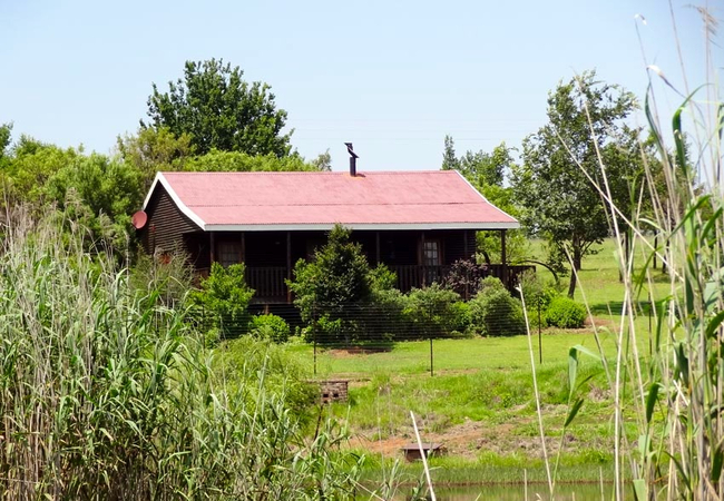  Invicta @ Fancy Free 