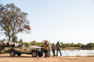 Safari