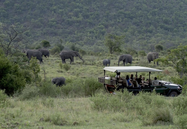 Game drive