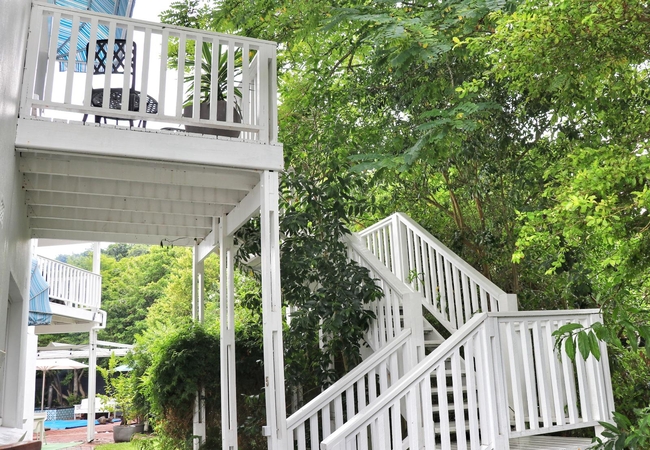 Butterfly Couple Suite