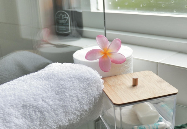 Butterfly Couple Suite